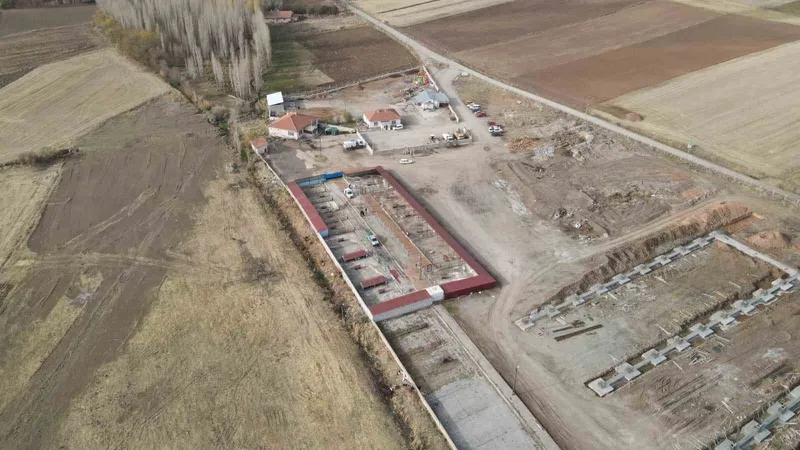 Başkan Metin’den sokak hayvanları için örnek hizmet
